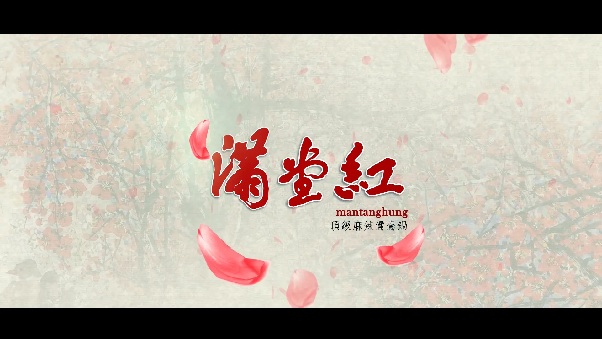 設計作品圖集作品圖 17